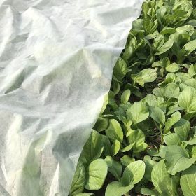 Floating Row Covers Frost Cloth for Freeze Protection, Winter Garden Frost Cover for Plants (size: 0.55oz,10*100ft)